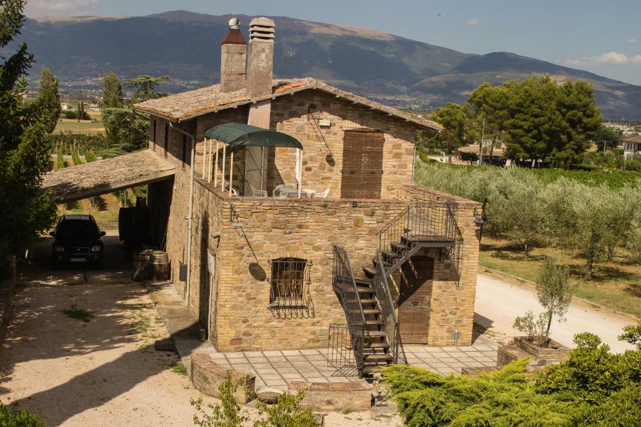 Country House Carmelita Limigiano Exterior photo